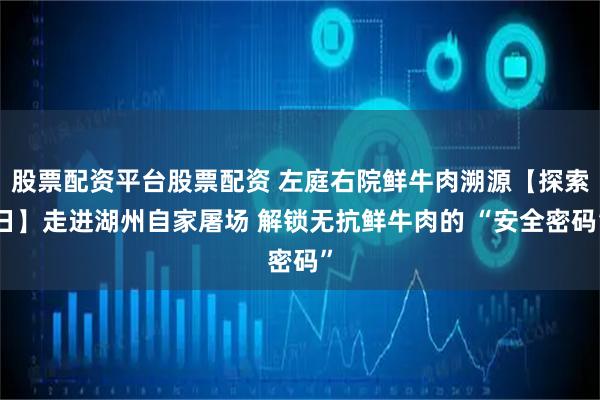 股票配资平台股票配资 左庭右院鲜牛肉溯源【探索日】走进湖州自家屠场 解锁无抗鲜牛肉的 “安全密码”